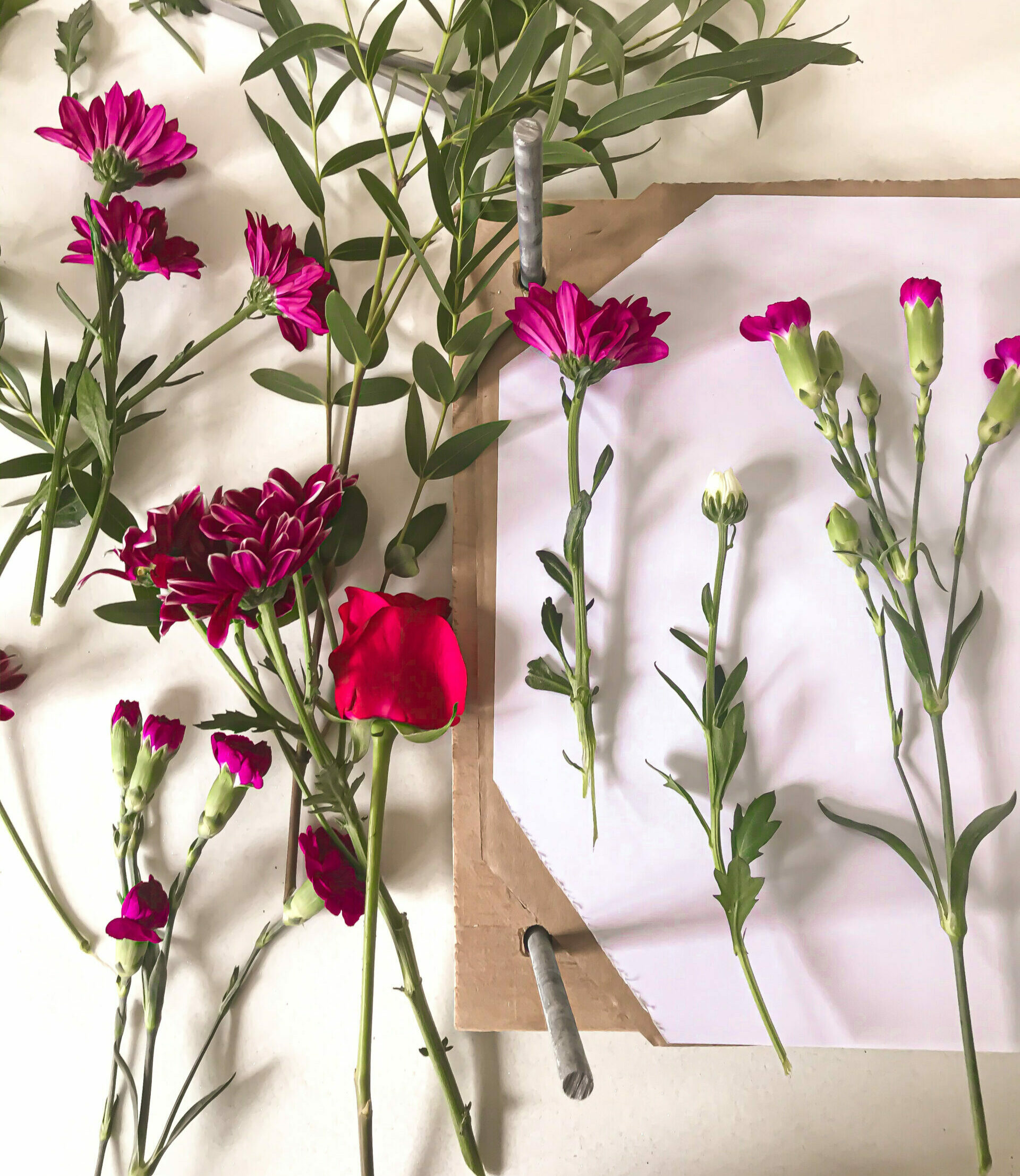 Flower Preservation
