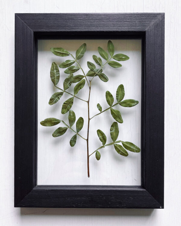 02 | Greenery Collection