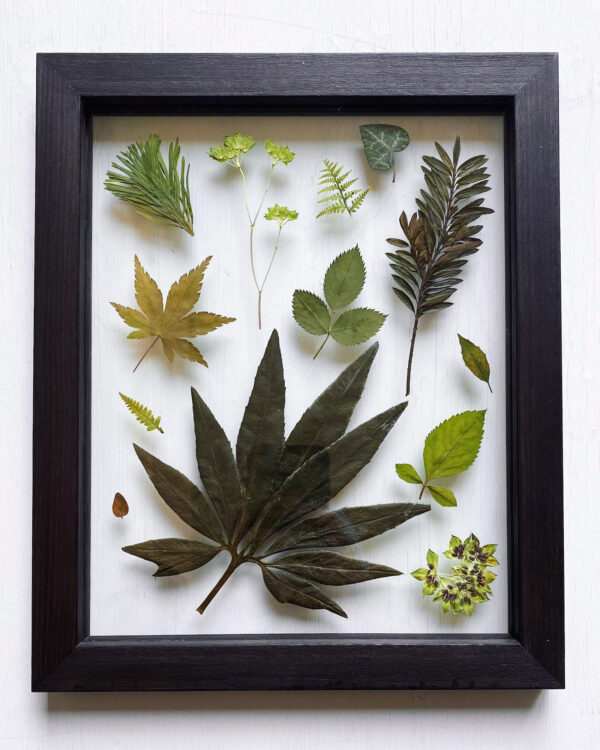 01 | Greenery Collection