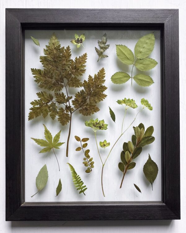 03 | Greenery Collection