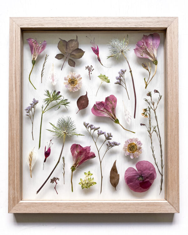 02 | Spring Collection