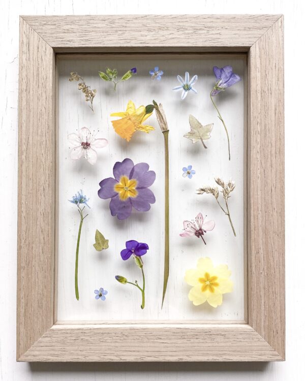 11 | Spring Collection