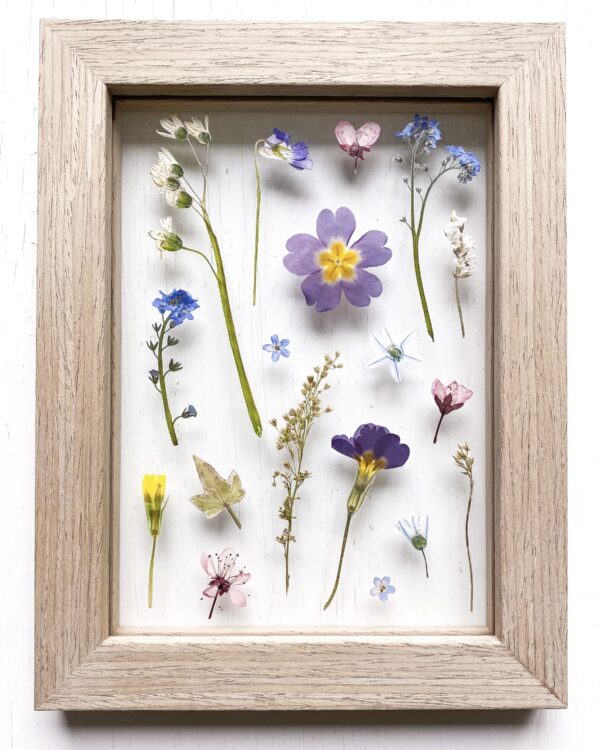 09 | Spring Collection