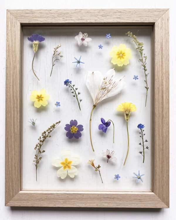 07 | Spring Collection