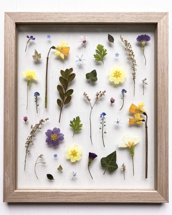 08 | Spring Collection